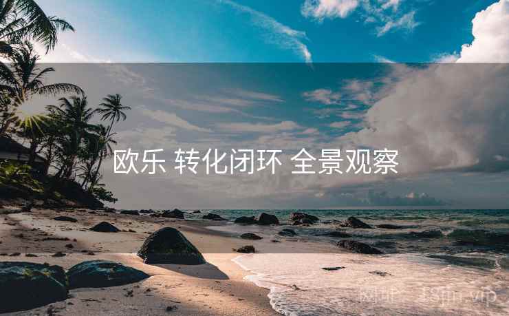 欧乐 转化闭环 全景观察
