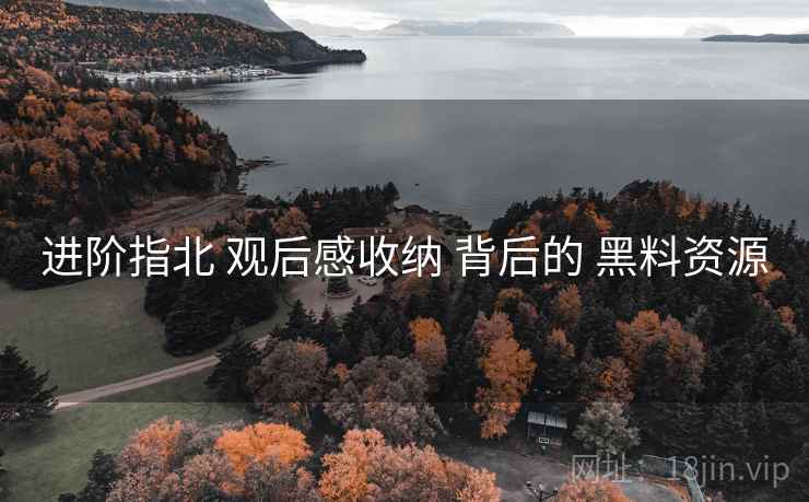 进阶指北 观后感收纳 背后的 黑料资源