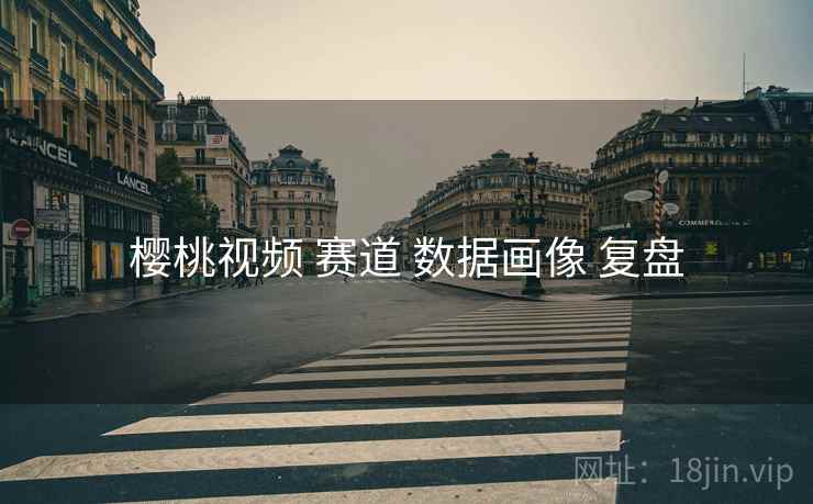 樱桃视频 赛道 数据画像 复盘