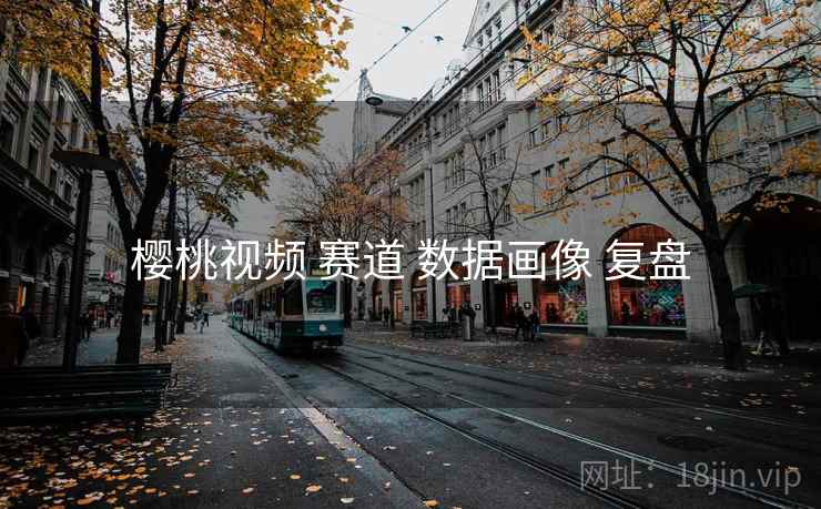 樱桃视频 赛道 数据画像 复盘