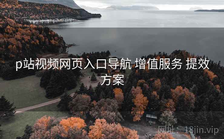 p站视频网页入口导航 增值服务 提效方案