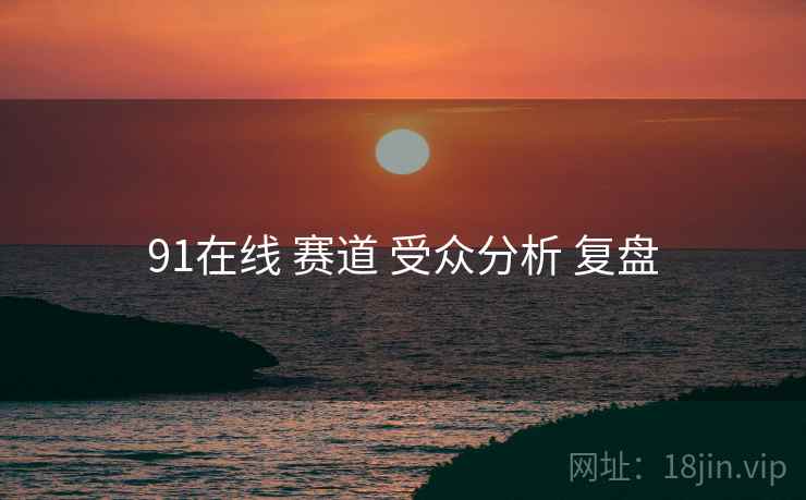 91在线 赛道 受众分析 复盘