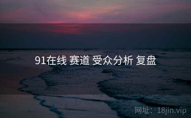 91在线 赛道 受众分析 复盘