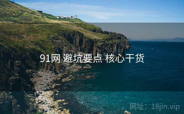 91网 避坑要点 核心干货