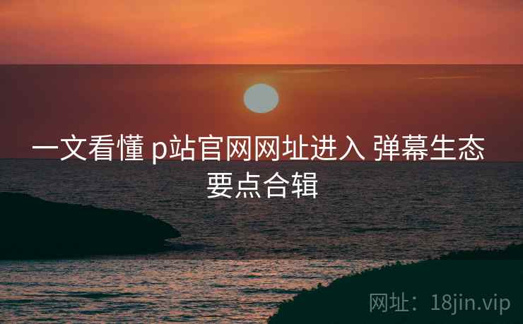 一文看懂 p站官网网址进入 弹幕生态 要点合辑