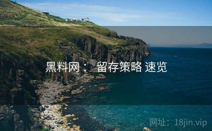 黑料网 ： 留存策略 速览