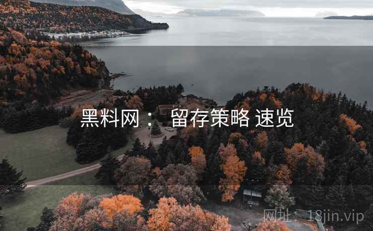 黑料网 ： 留存策略 速览