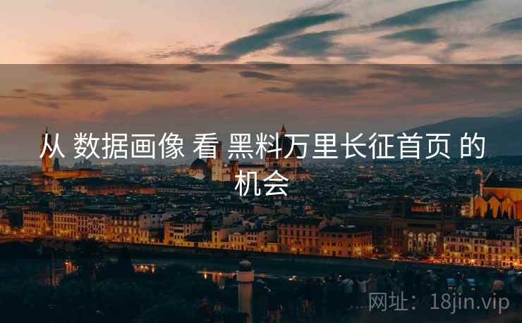 从 数据画像 看 黑料万里长征首页 的机会