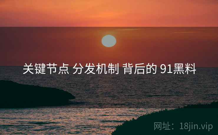 关键节点 分发机制 背后的 91黑料