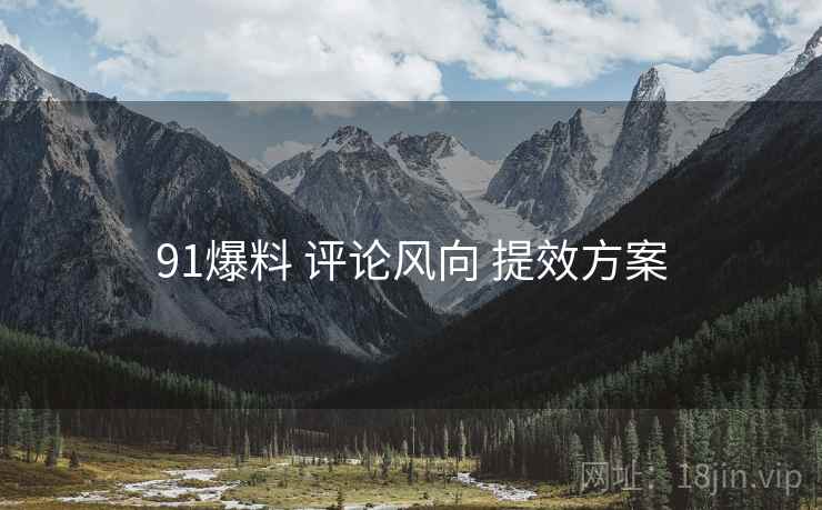 91爆料 评论风向 提效方案