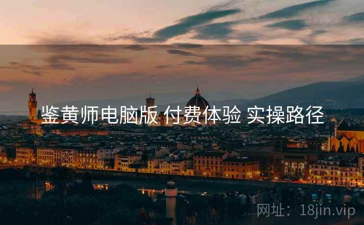 鉴黄师电脑版 付费体验 实操路径