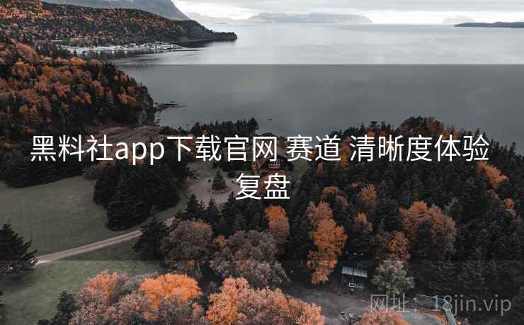 黑料社app下载官网 赛道 清晰度体验 复盘