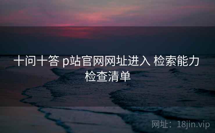 十问十答 p站官网网址进入 检索能力 检查清单