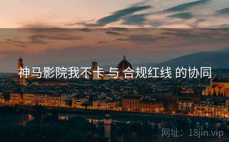 神马影院我不卡 与 合规红线 的协同