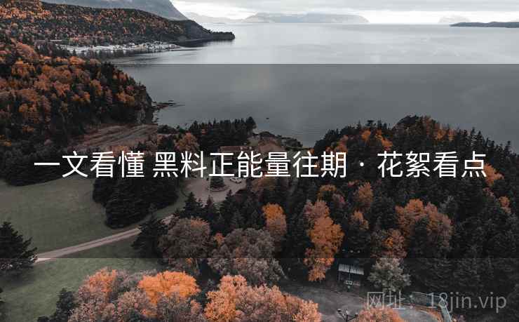 一文看懂 黑料正能量往期 · 花絮看点