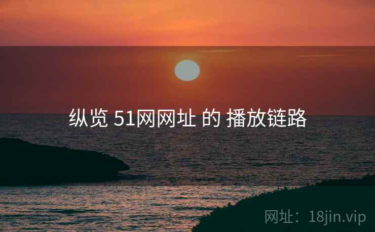 纵览 51网网址 的 播放链路
