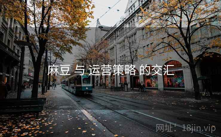 麻豆 与 运营策略 的交汇