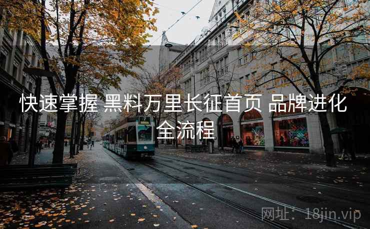 快速掌握 黑料万里长征首页 品牌进化 全流程