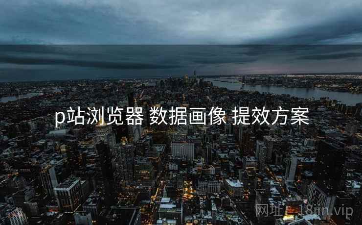 p站浏览器 数据画像 提效方案