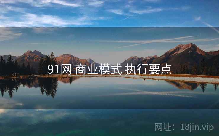 91网 商业模式 执行要点