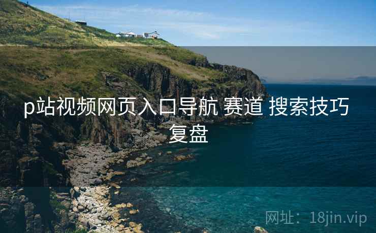 p站视频网页入口导航 赛道 搜索技巧 复盘