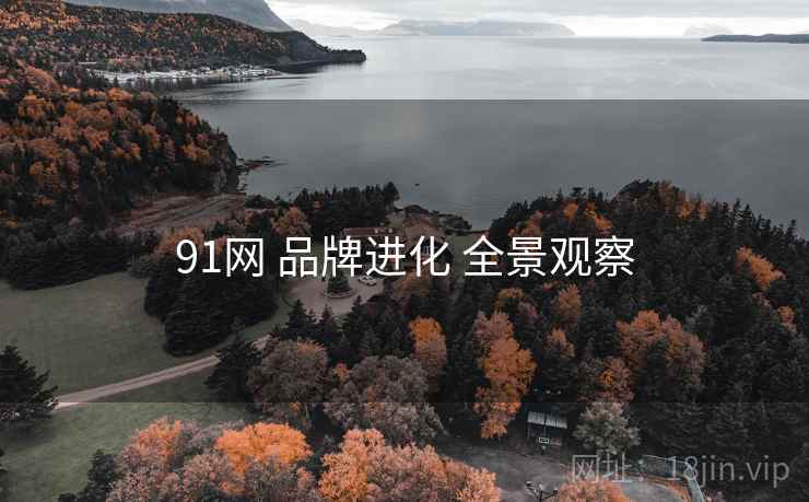 91网 品牌进化 全景观察